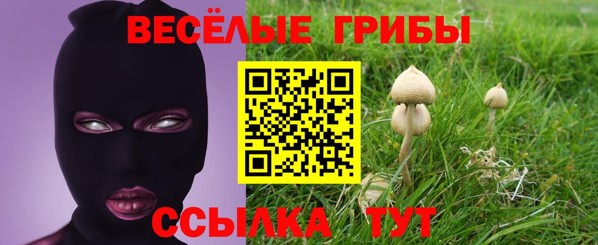 закладки  Галлюциногенные грибы Cubensis  Вход с VPN  Шелехов 